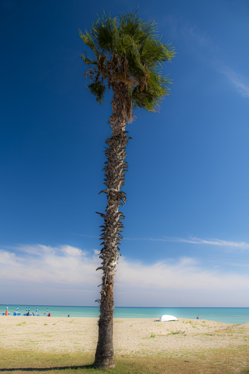 Una serena giornata al mare