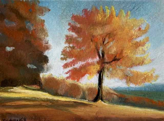 I colori del bosco