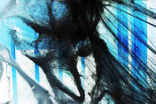 Intrigue of cobwebs 1