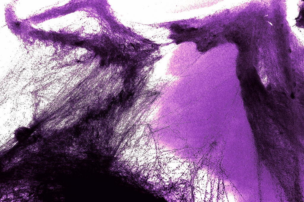 intertwining of cobwebs 3