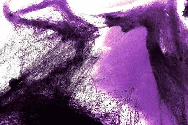 intertwining of cobwebs 3
