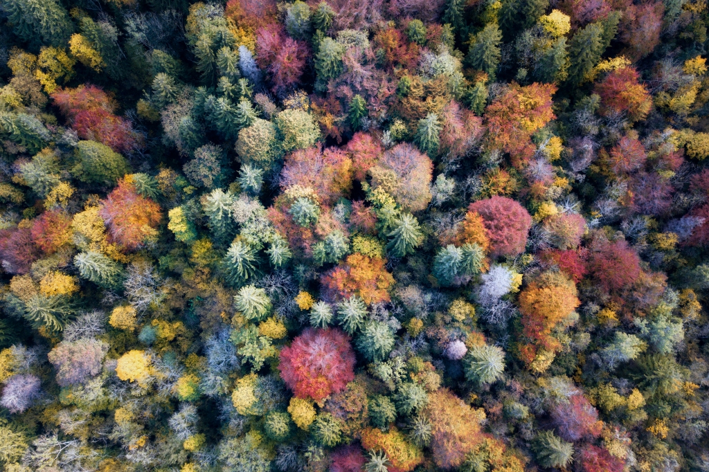 Tutti i colori dell'autunno