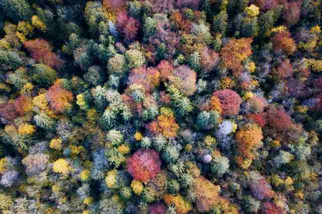 Tutti i colori dell'autunno · cristianghisla