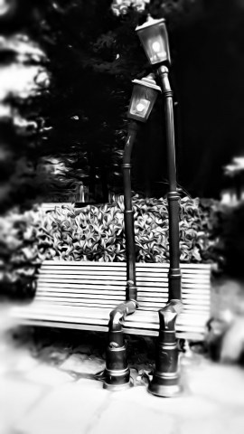 Love in the park