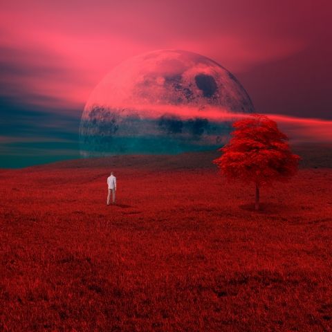 QUANTUM