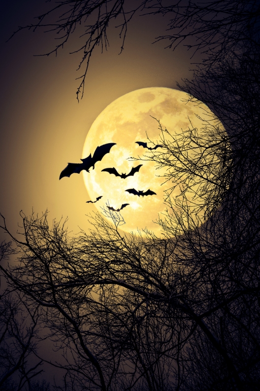 Hallowen Moon