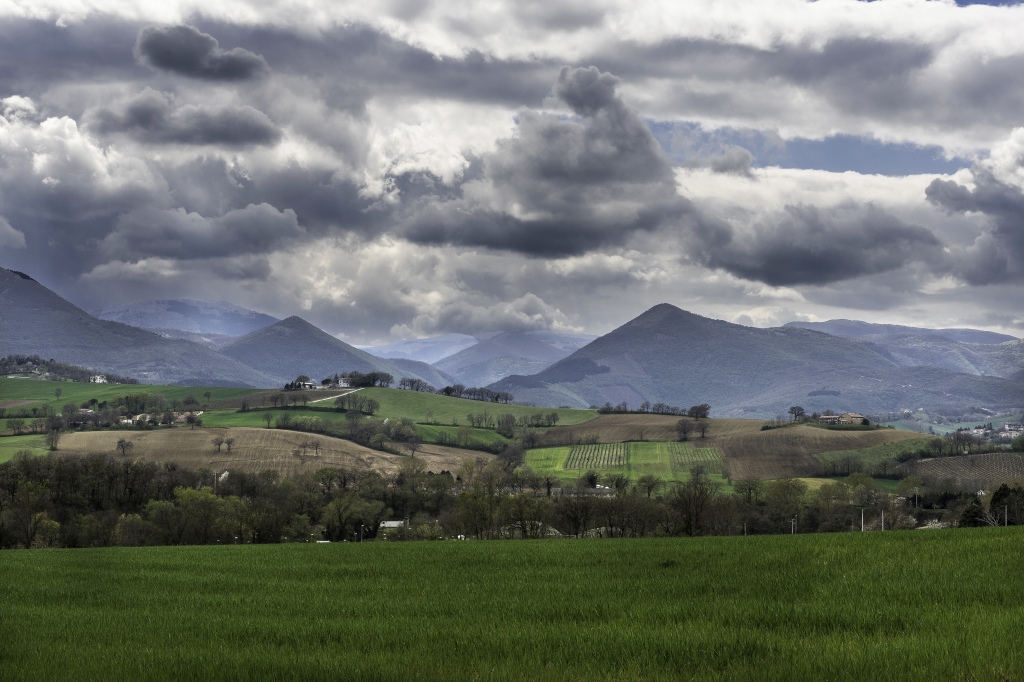 Campagna marchigiana