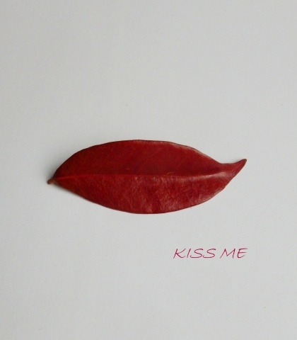kiss me