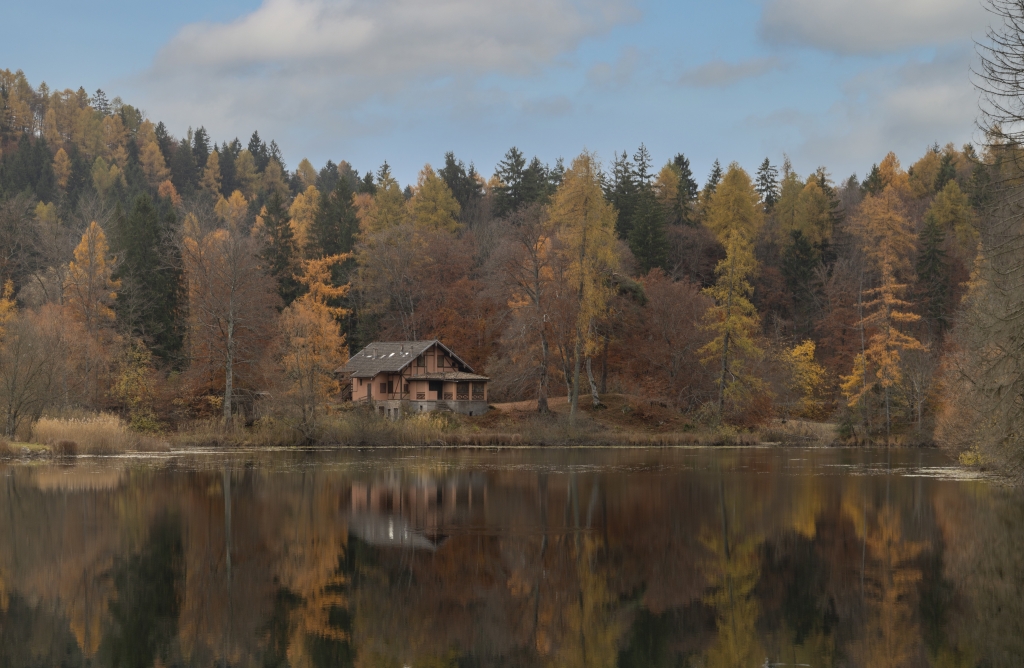La casa nel bosco