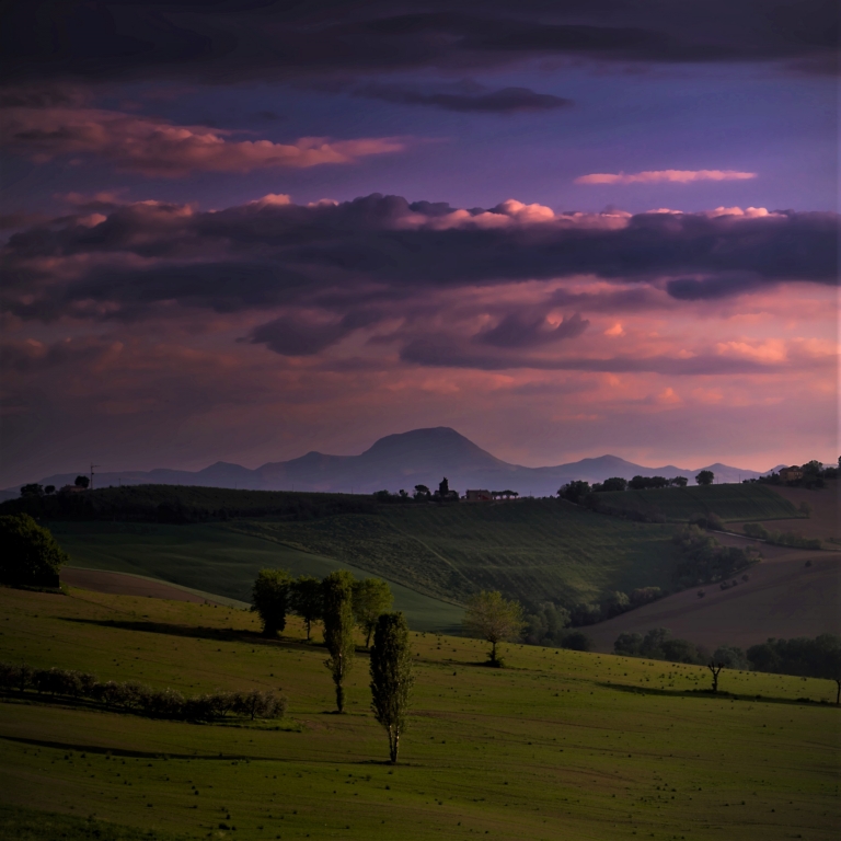country landscape