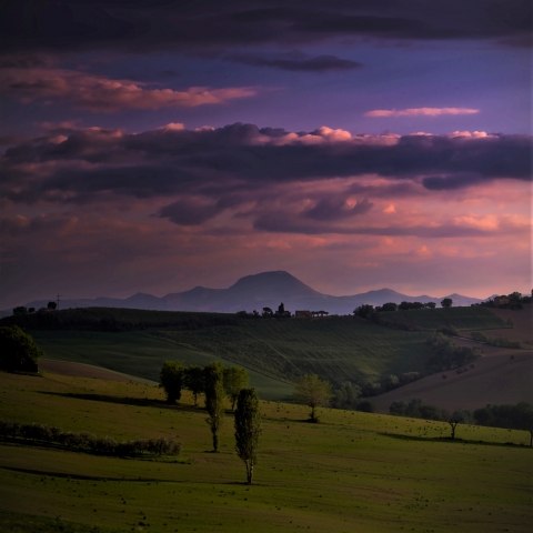 country landscape