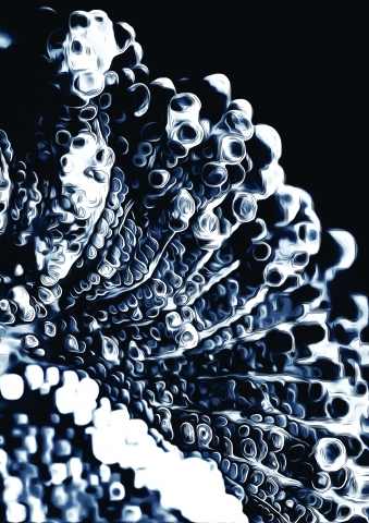 Natural Pattern