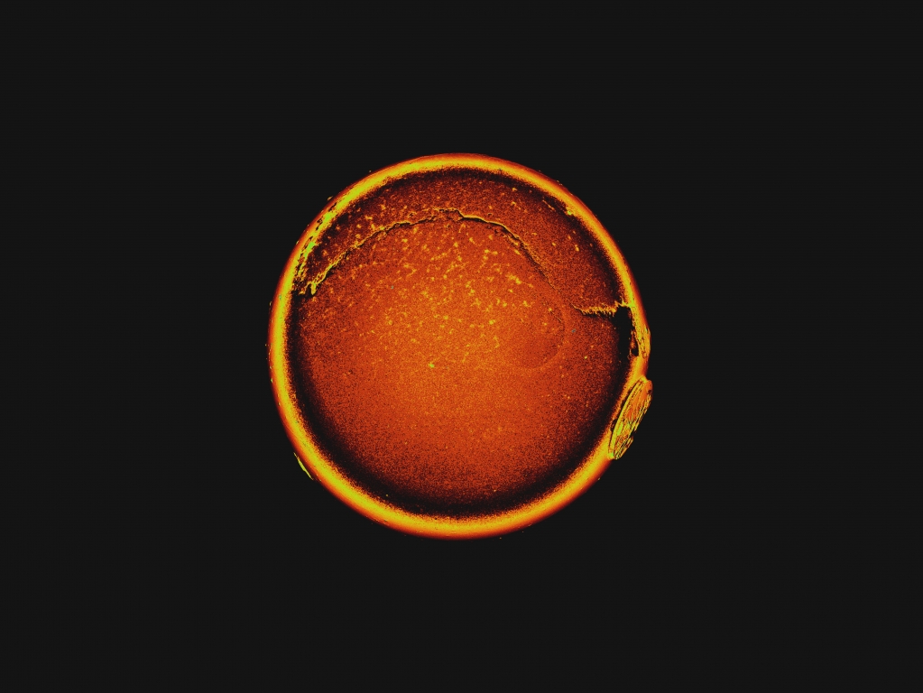 Biomeccanica