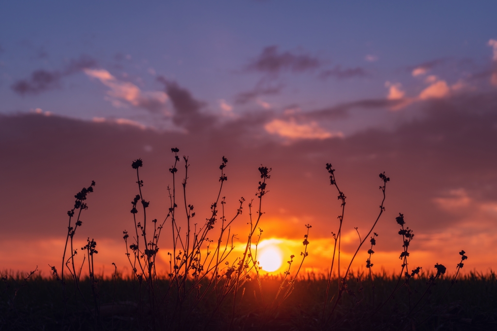 Tramonto di gennaio