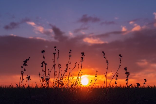 Tramonto di gennaio