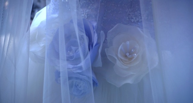Tessuto di rose · adamantino78