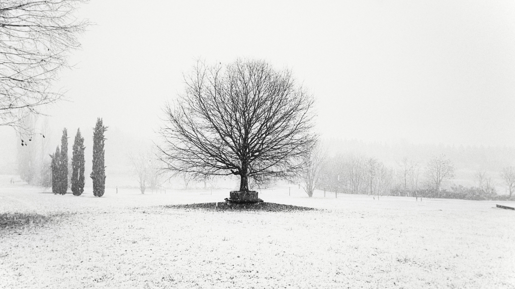 L’inverno a Milano