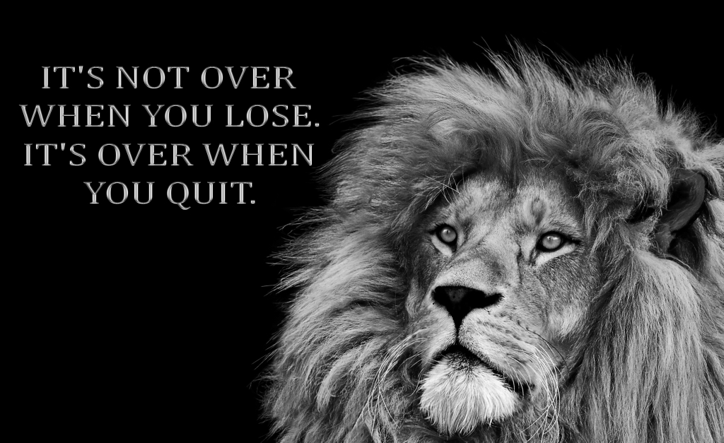 Inspirational Motivational quote, Lion