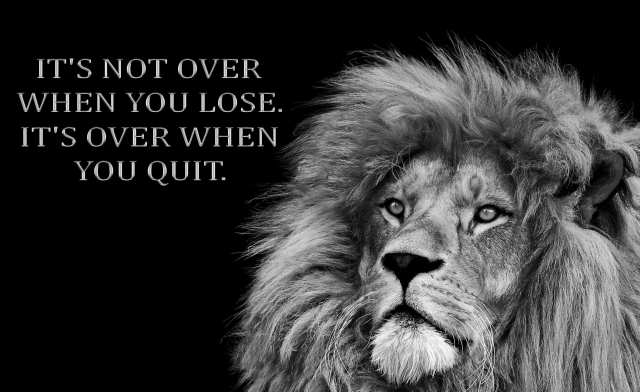 Inspirational Motivational quote, Lion