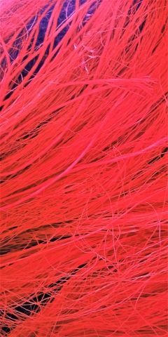 Capelli rossi