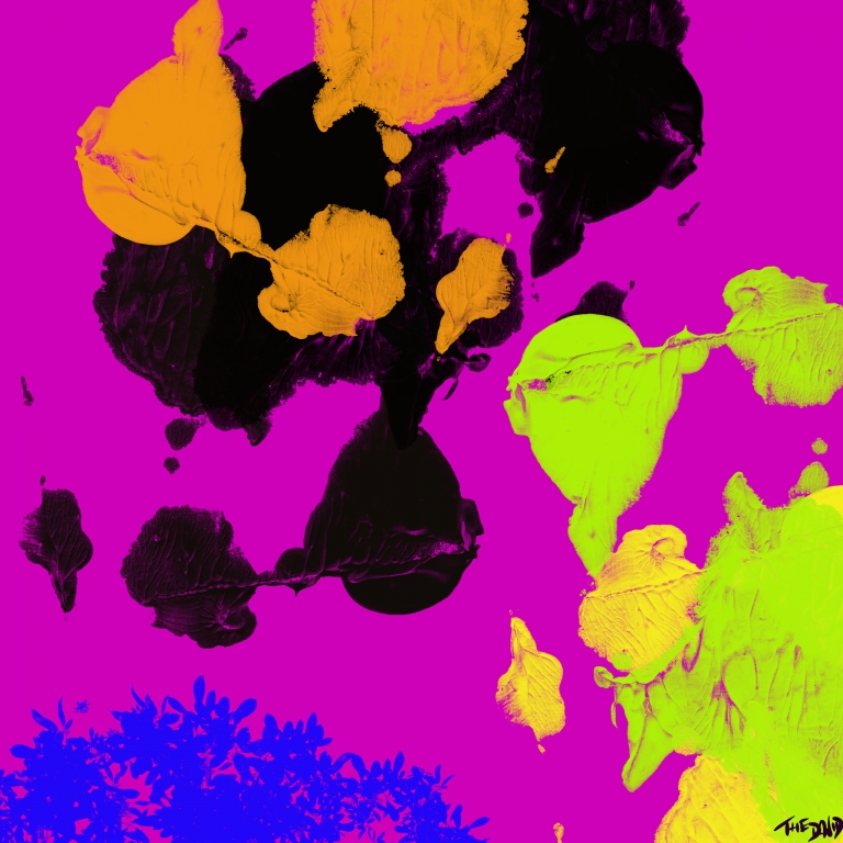 Colors