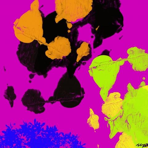 Colors