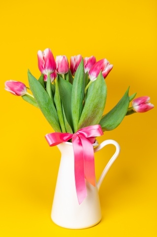 Tulipani rosa