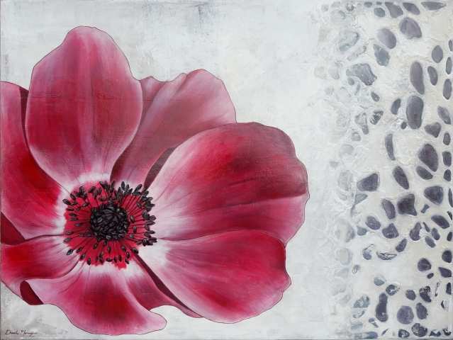 Papavero rosa