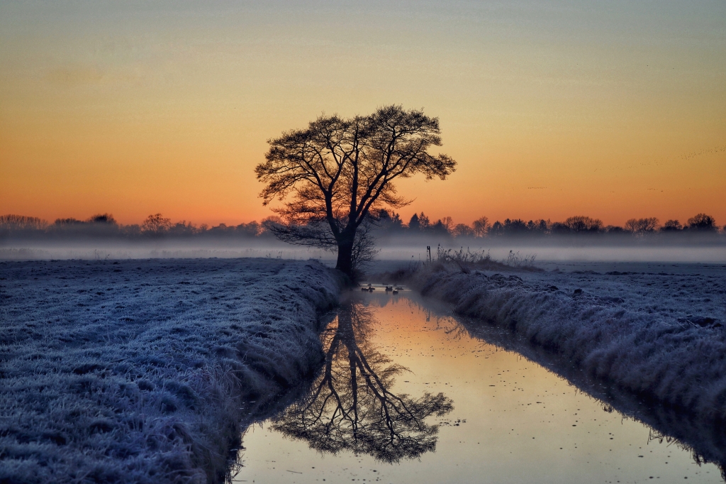 Riflessi invernali