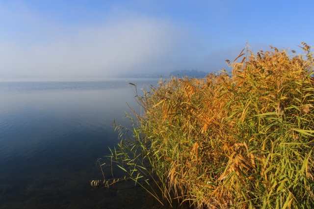 Atmosfere di lago 1