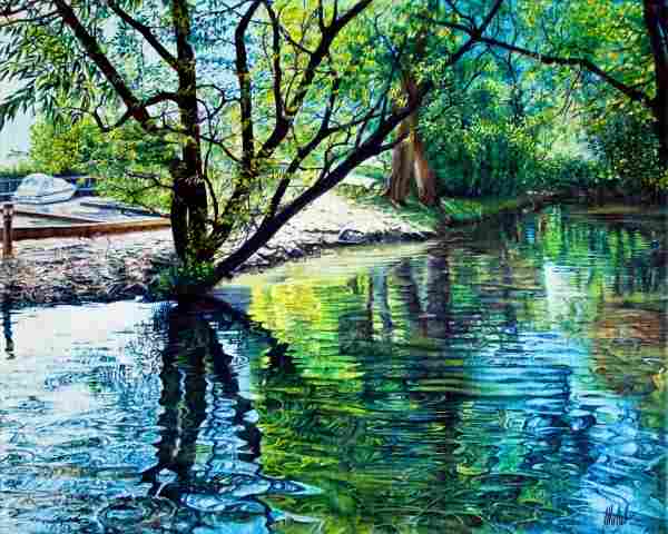 Alberi Riflessi