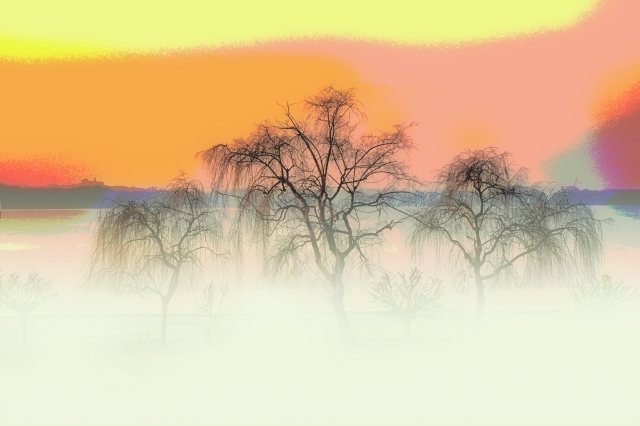 Nebbia e sole · silbongia