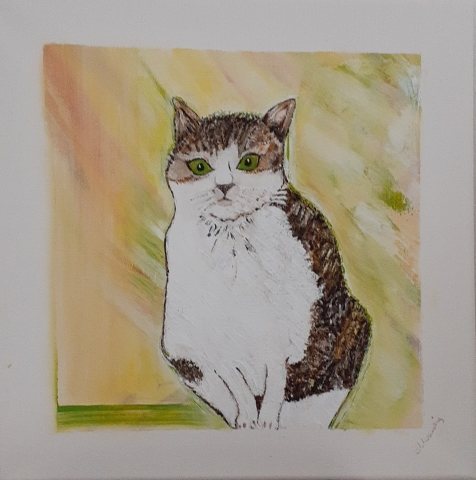 Sguardo felino