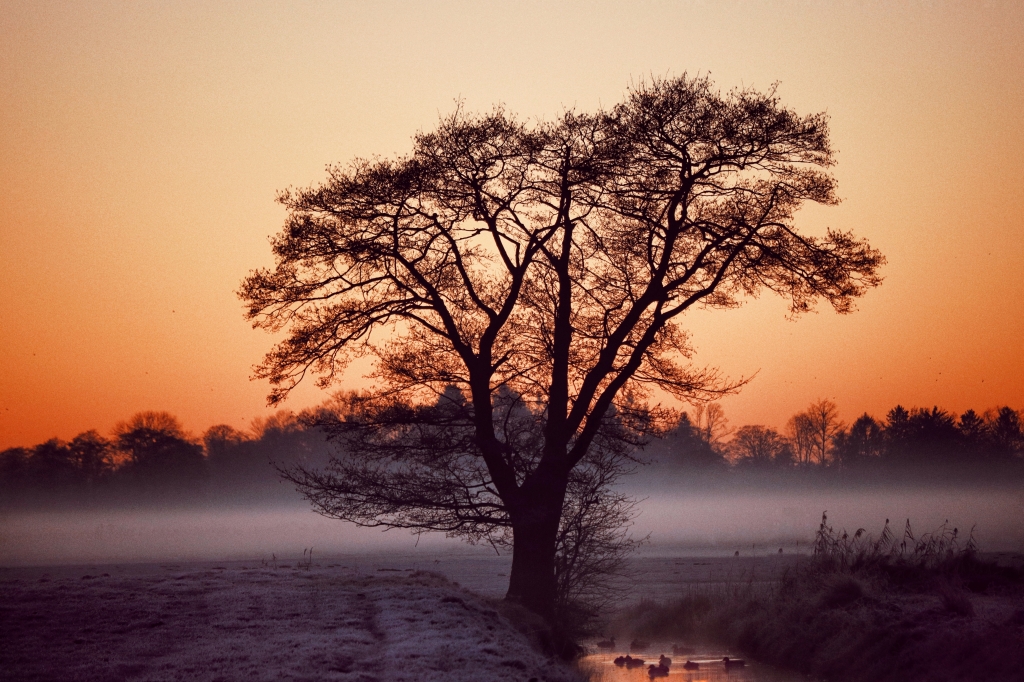 I colori dell’alba