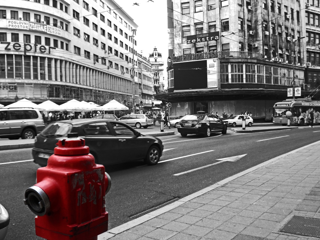Belgrado - La città bianca