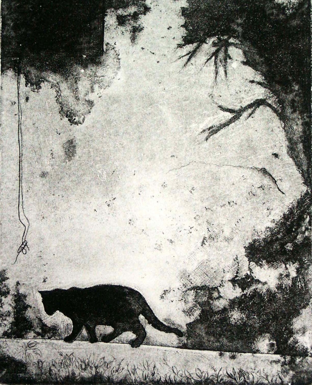 Cat Shadow