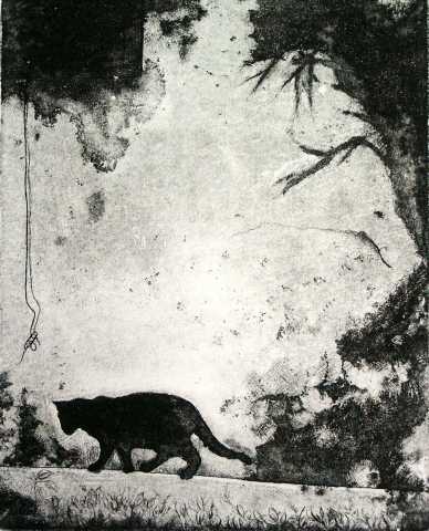 Cat Shadow