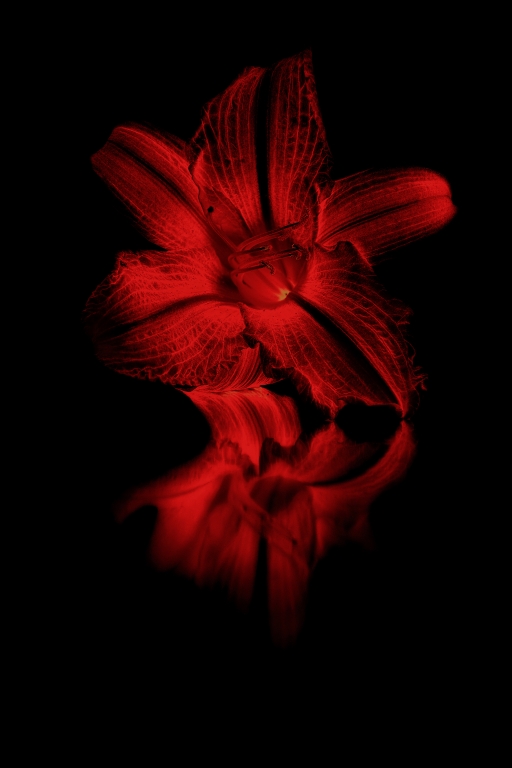 Riflessi