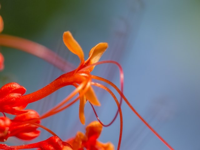 lightness