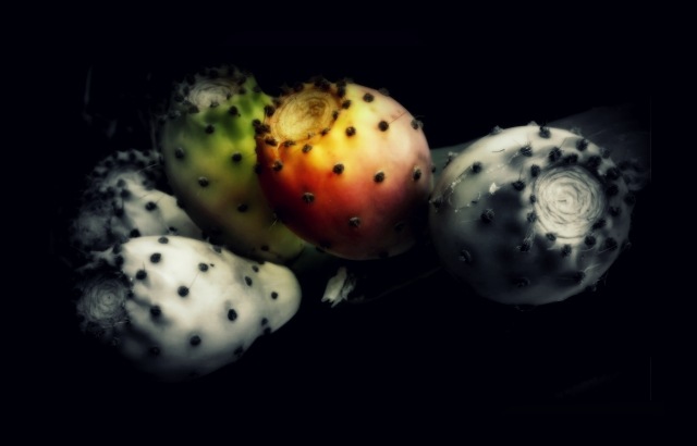 frutti ruvidi
