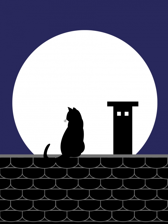 La gatta sul tetto, la luna nel cielo
