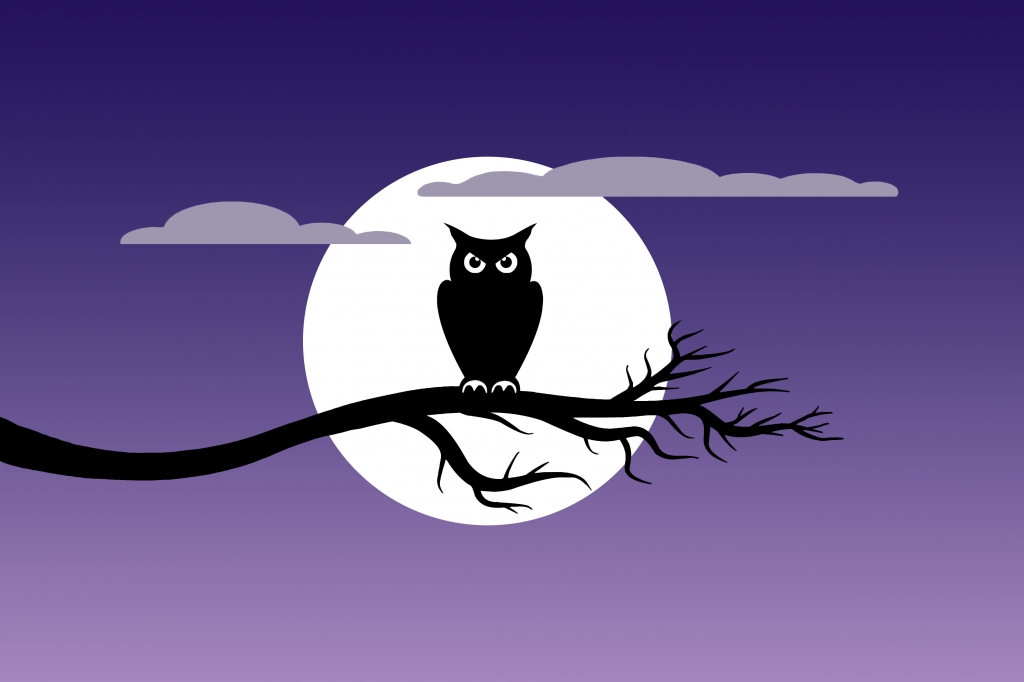 La notte del gufo