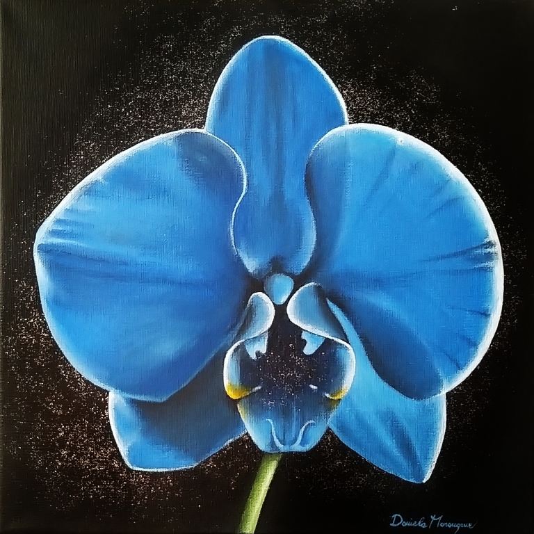 Orchidea blu