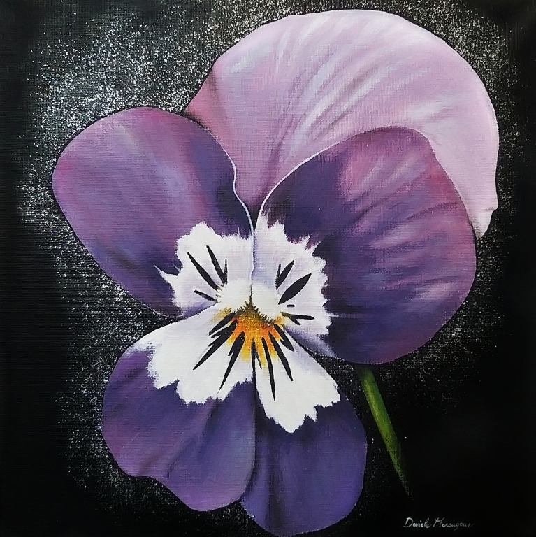 Viola