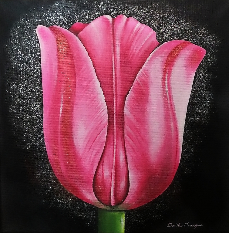 Tulipano rosa