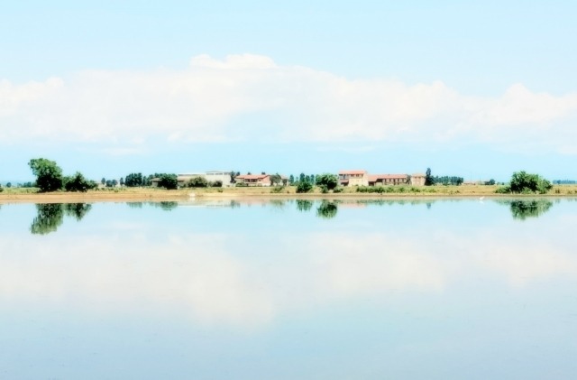 terre d'acqua e di riso