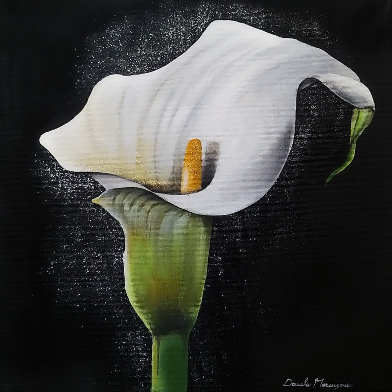 Calla bianca