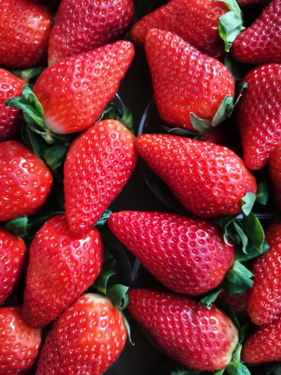 Fragola