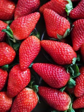 Fragola