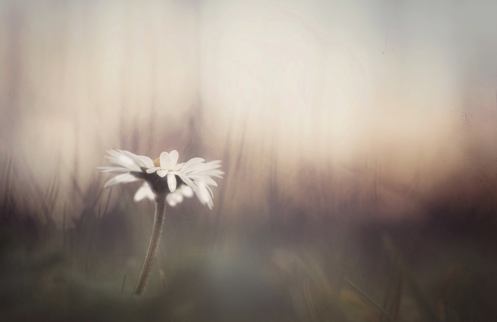 Solitudine